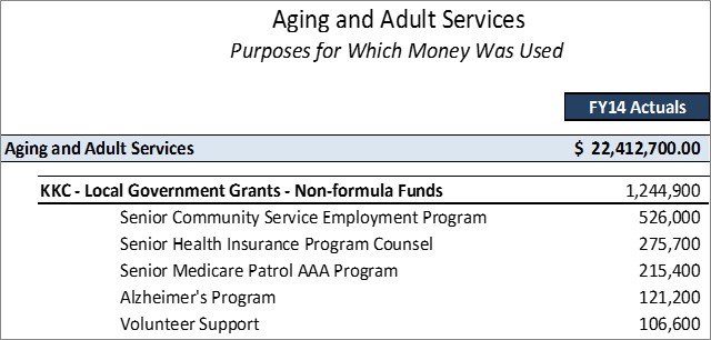 DAAS Local Government Grants Non-formula Funds Detailed Purposes